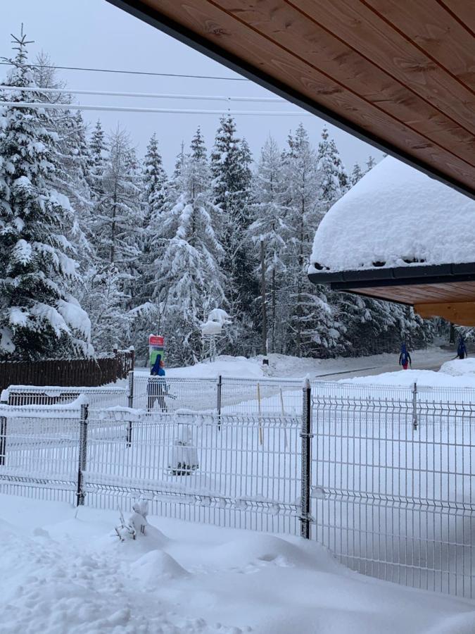 Punkt Koscielisko, Dom Gorski 800 M Od Doliny Koscieliskiej Eksteriør billede