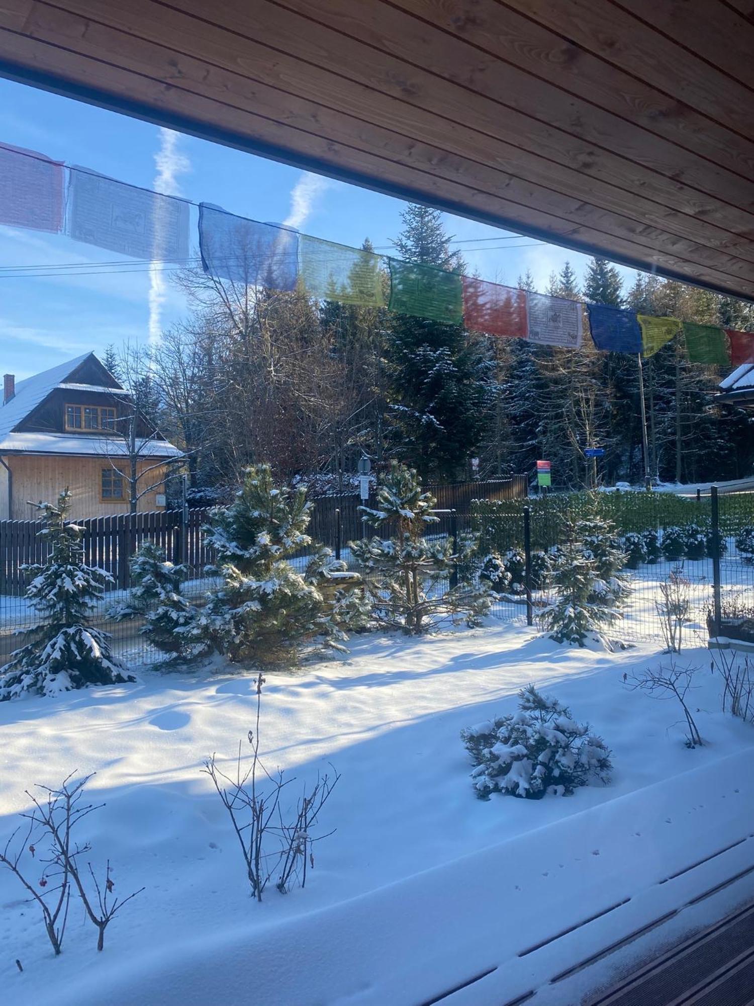 Punkt Koscielisko, Dom Gorski 800 M Od Doliny Koscieliskiej Eksteriør billede